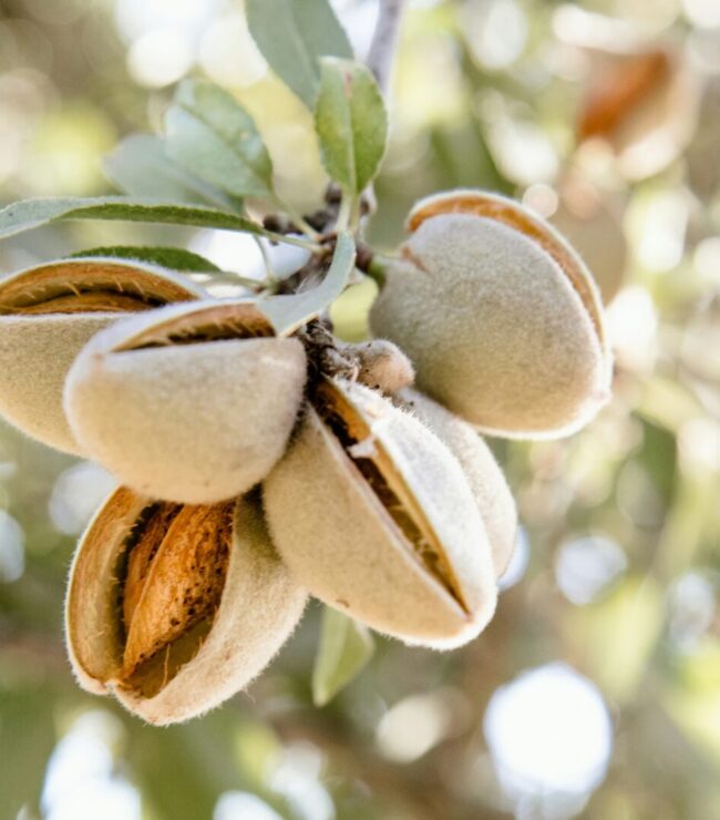 marcia-cripps-bXj13sqsgrM-unsplash